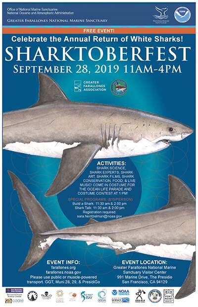 2019 sharktoberfest poster with a couple of sharks swimming the information posted on this pages