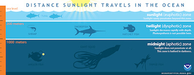 Graphic depicting how deep sunlight travels through the ocean