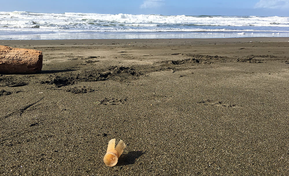 plastic shotgun wad debris on a sandy beach