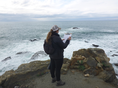 Volunteer taking notes by the shore