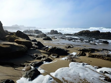beach covered in rocks